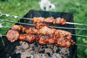 meat on charcoal shish kebab grill, close view