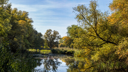 Okeraue im Herbst