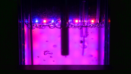 Algae science reactor, research modern laboratory bioreactor multi cultivator photon instrument...