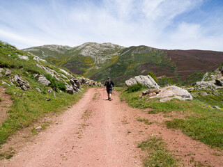 Vistas del paisaje asturiano del Lago de La Cueva por un sendero rodeado de naturaleza, monta&ntilde;as verdes, flores moradas cielo azul y nubes blancas en verano de 2021, Espa&ntilde;a.
