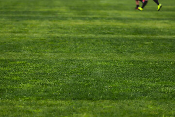 Green grass of a soccer field with selective focus in the center of the image, above the image some feet with cleats.
