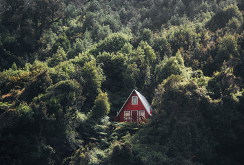 red a frame alpine cabin in the middle of the forest