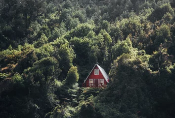 Foto op Canvas red a frame alpine cabin in the middle of the forest © brenda