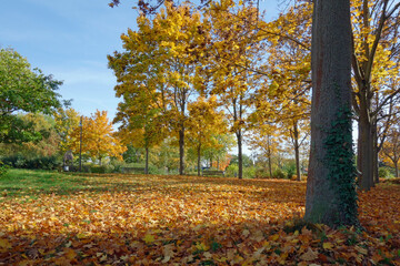 herbstfarben