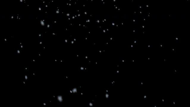 Snowfall concept.Winter Snow, Falling snow animation isolated by the alpha channel(trasparent background).snow that falls slowly and then increases in intensity.winter and christmas concept.
