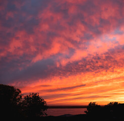 Attractive colours and textures of  clouds at sunset over a bay of water with silhouetted trees in the foreground.