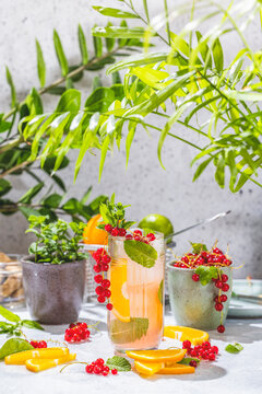 Detox cocktail with mint, red currant, orange and lime for mojito cocktail in highball glasses on a gray concrete stone surface background surrounded by ingredients