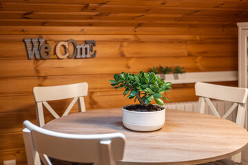 Jade plant on round dining table with chairs and word welcome at the background on wooden wall in a rural house. Selective focus.