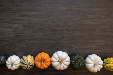 Border of gourds on a dark wood background with copy space