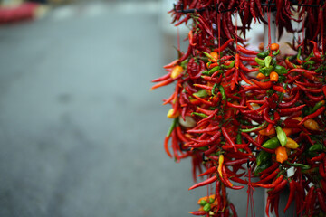 Autumn in Italy, Calabria