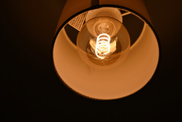 light bulb in the dark