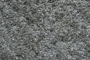 stone wall background texture gray day large. High quality photo