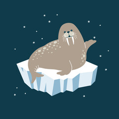 Vector illustration of a cute walrus on an iceberg