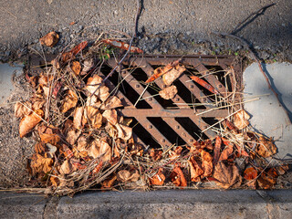 Rusty sewer grating covered with various dry fallen leaves and twigs