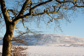 A mountain covered in snow framed by the branches of a tree on the foreground under a blue sky in the Pentland Hills Regional Park in Edinburgh, Scotland, UK
