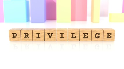 Word with the text PRIVILEGE carved on cube wood reflected on the bright surface. Business concept. In the back are colorful cuboids in many different shapes. (3D rendering)