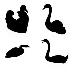 Swans floating silhouettes design. Goose, geese. Wild birds