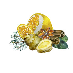 Hand Drawn Ginger watercolor sketch. Illustration For Food Design.