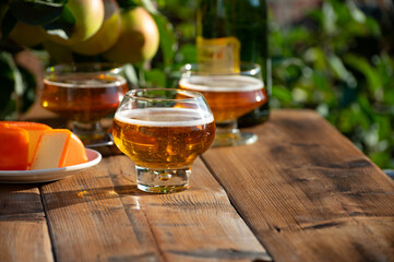 Food and drink pairing, apple cider produced on organic farm from bio apples in Normandy, France and cheddar cheese from England