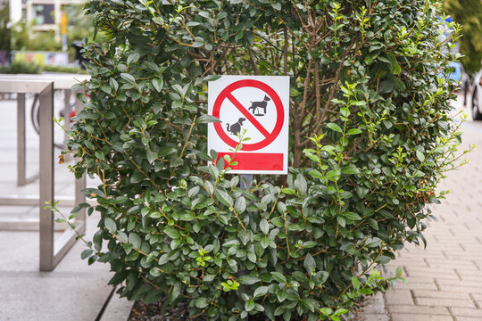 sign do not walk your dogs