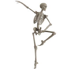 skeleton posing 3d render illustration