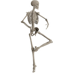 skeleton posing 3d render illustration