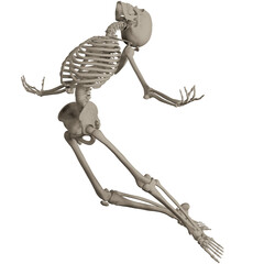 skeleton posing 3d render illustration