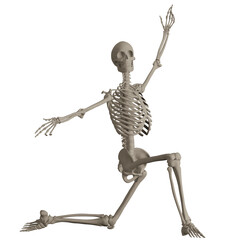 skeleton posing 3d render illustration