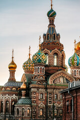 Nature, sights, architecture and life of the city of Russia Saint Petersburg