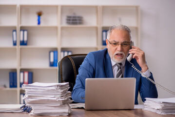 Old male employee working in the office