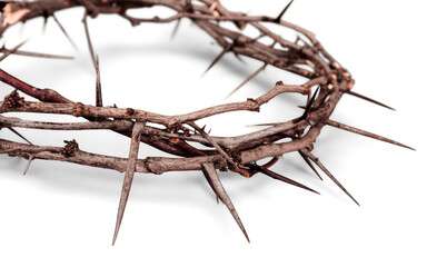 Closeup of a Crown of Thorns