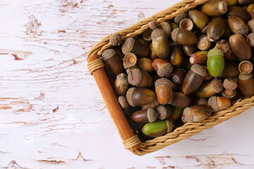 Wicker basket with acorns on white wooden table, top view. Space for text © New Africa