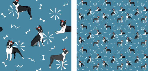 Seamless dog pattern, winter Christmas texture. Square format, t-shirt, poster, packaging, textile, socks, textile, fabric, decoration, wrapping paper. Trendy hand-drawn boston terrier dogs