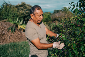 Bolivian gardener working on a farm