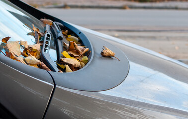 Fallen dry autumn leaves on car windshield on blurred background of city street