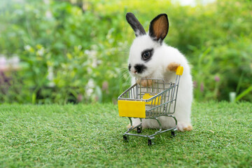 Adorable baby rabbit furry bunny pushing empty yellow shopping basket cart walking on green grass....