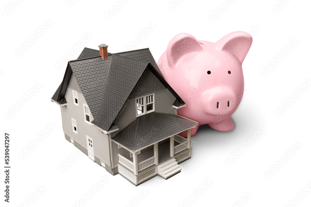 Canvas Prints Small House and Piggy bank on background