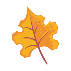 Fototapeta premium fall leaf design