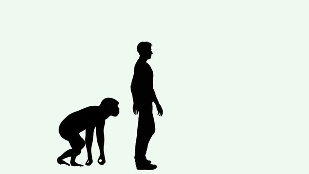  Ape following man across screen silhouette