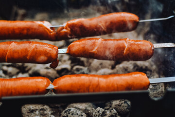 The fire on the grill stands on the grass. They make a fire with paper and branches, sausages with smoke. Picnic food, grill party.