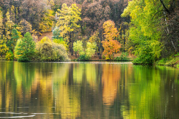 Fototapeta na wymiar Amazing Autumn backgrounds of reflections of aututm leaf color - yellow, orange leaves in water of pond in city public park and ducks (blurred from motion) in pond swimming
