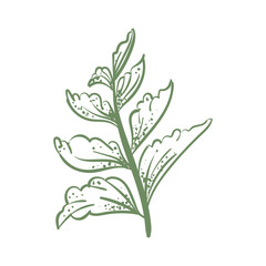 nature branch design