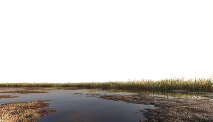 Foto op Plexiglas wetland with grass and stones © Poprock3d
