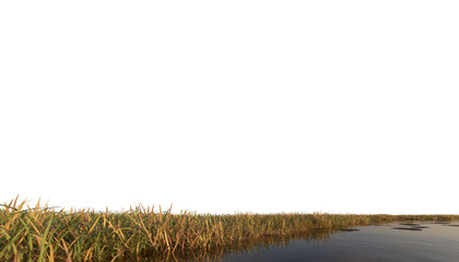 wetland with grass and stones