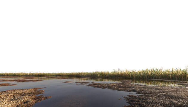 Wetland With Grass And Stones