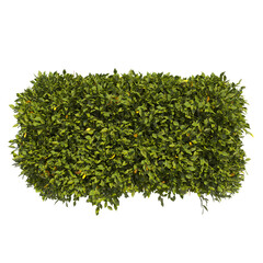 varieties of hedges isolated