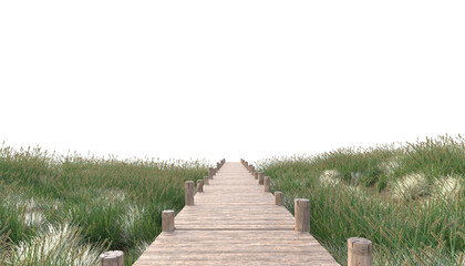 wooden path in the field
