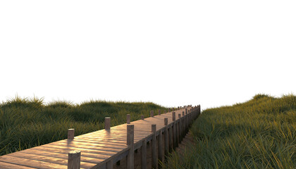 Wooden path through the meadow wooden path through grass field clipping path