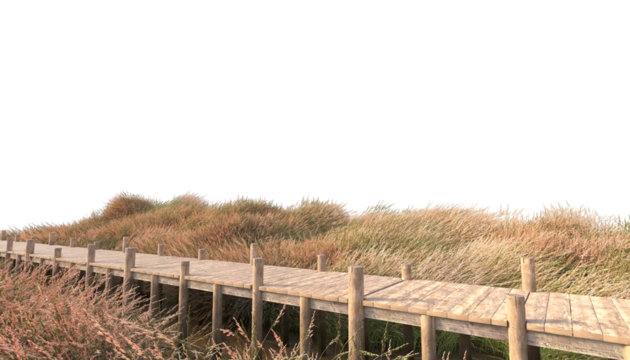 Wooden path through grass field wooden path through grass field