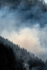Nohomin Creek Forest Fire